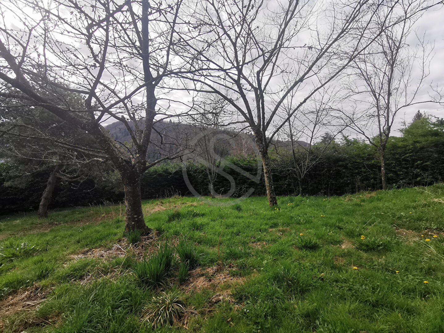 Terrain à bâtir de 539 m² sur 2115 m²