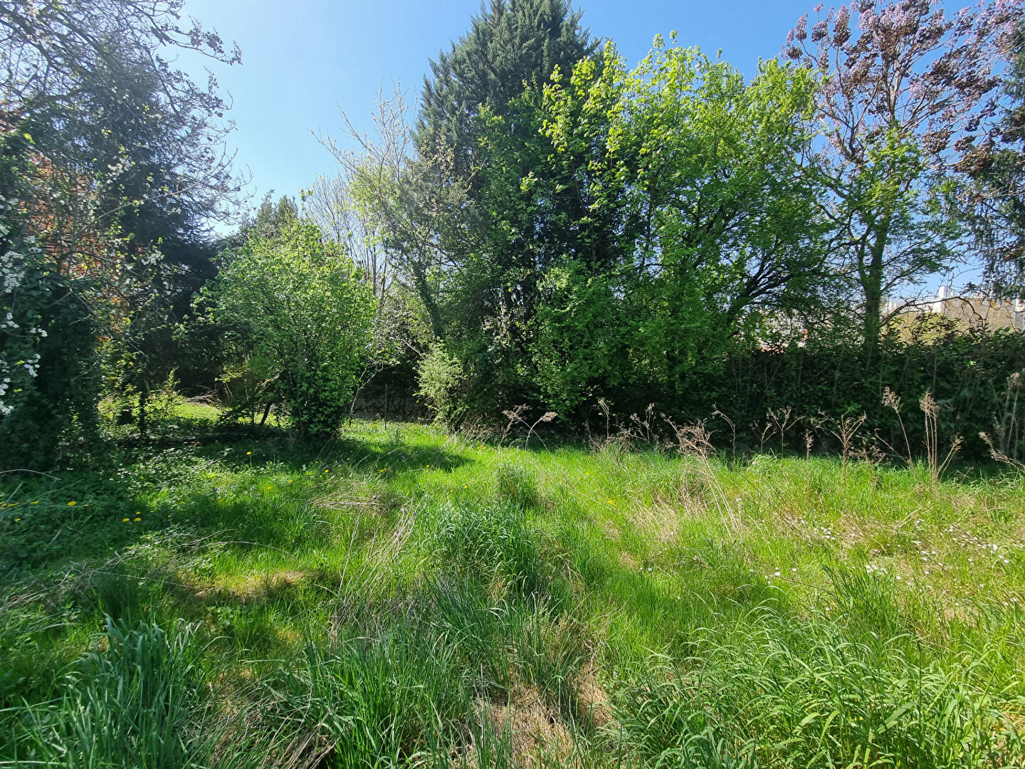 Terrain  3027 m2 Collonges au Mont d&rsquo;Or